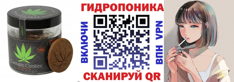 Canna-Cookies конопля  закладка  Волгореченск 