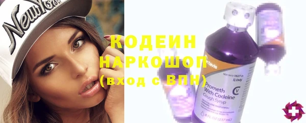МДПВ Бородино