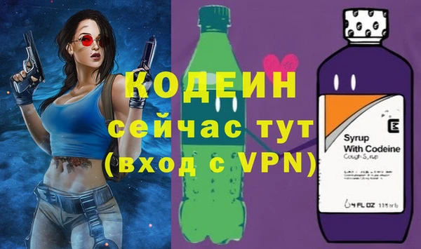 МДПВ Бородино