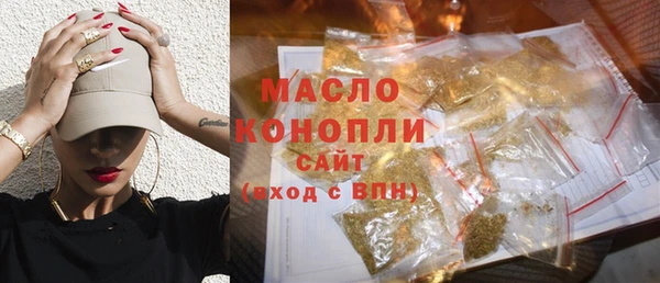 МДПВ Бородино