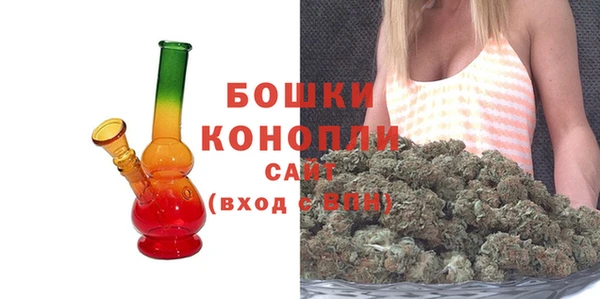 гидра Бронницы