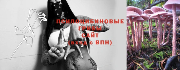ешки Бугульма