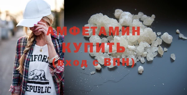 МДПВ Бородино