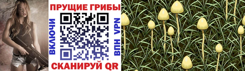 Галлюциногенные грибы мухоморы  Волгореченск 